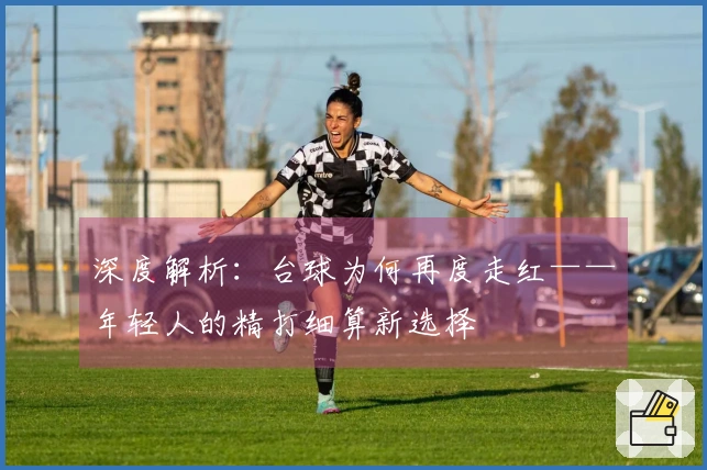 深度解析:台球为何再度走红——年轻人的精打细算新选择